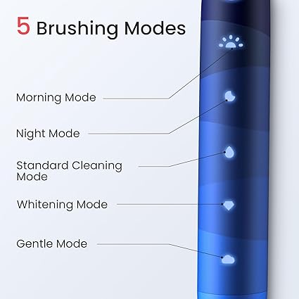 Oclean Flow TravelGo Toothbrush Set